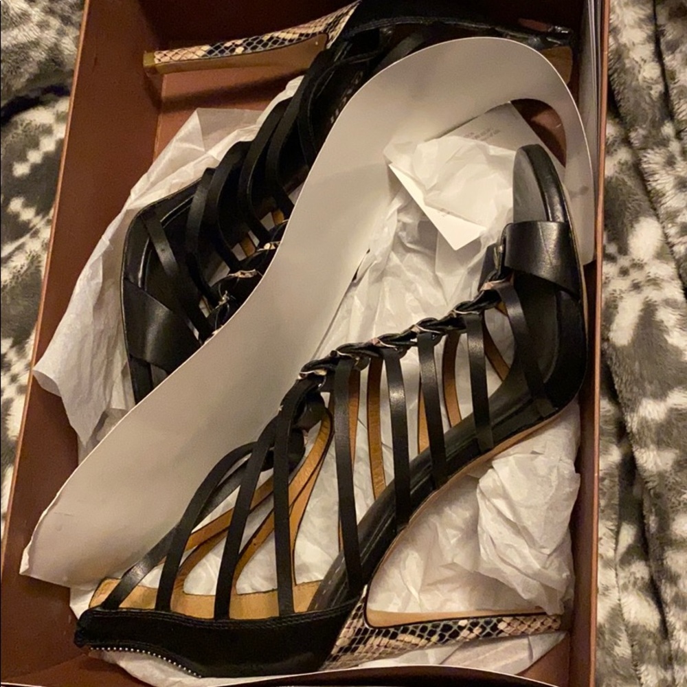 Coach Josey Heel